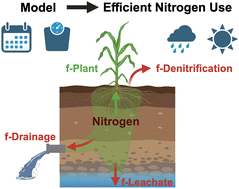 Graphical abstract: A mechanistic model for determining factors that influence inorganic nitrogen fate in corn cultivation