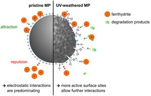 Graphical abstract: UV-weathering affects heteroaggregation and subsequent sedimentation of polystyrene microplastic particles with ferrihydrite