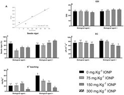 Graphical abstract: Iron oxide nanoparticles as enhancers of growth-promoting bacteria: a step towards developing nano-biofertilizers