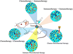 Graphical abstract: Hydrogels as local depots for on-demand therapeutic delivery: potential therapeutic approaches for tumor metastasis