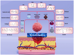 Graphical abstract: Innovative approaches in skin therapy: bionanocomposites for skin tissue repair and regeneration