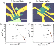 Graphical abstract: Percolative phase transition in few-layered MoSe2 field-effect transistors using Co and Cr contacts
