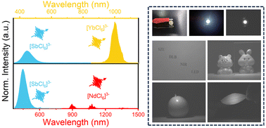 Graphical abstract: Enabling efficient near-infrared emission in lead-free double perovskite via a codoping strategy