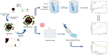 Graphical abstract: Design, characterization, and in vitro evaluation of magnetic carboxymethylated β-cyclodextrin as a pH-sensitive carrier system for amantadine delivery: a novel approach for targeted drug delivery