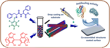 Graphical abstract: Sticky tubes co-assembled by functionalised diphenylalanine and polydopamine nanoparticles form biocompatible antifouling coating
