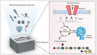 Graphical abstract: Nanopore-based glycan sequencing: state of the art and future prospects