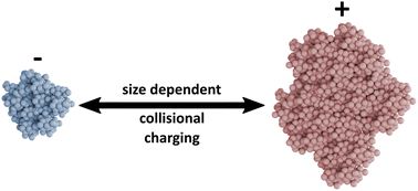 Graphical abstract: Size dependent polarities in tribocharged dust aggregates