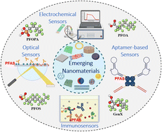 Graphical abstract: Emerging nanomaterials for the detection of per- and poly-fluorinated substances