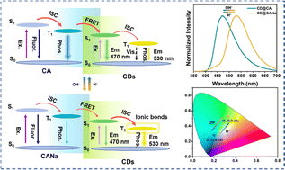 Graphical abstract: Achieving a colour-tuneable afterglow through pH-responsive exciton transfer channels in a carbon dot matrix system