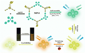 Graphical abstract: A sequential artificial light-harvesting system based on a metallacycle for sensitive detection of biothiols