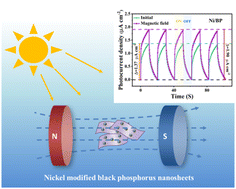 Graphical abstract: Highly stable nickel metal-modified black phosphorus-based photodetectors with enhanced magnetic field-assisted photoresponse