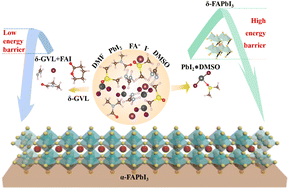 Graphical abstract: Equilibrating bonding energy between solvent and solute for optimized crystallization enables efficient perovskite solar cells