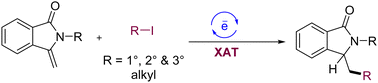 Graphical abstract: Photocatalytic hydroalkylation of 3-methyleneisoindolin-1-ones with unactivated alkyl iodides