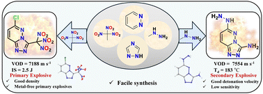 Graphical abstract: Trinitromethyl- and nitramino-substituted triazolo-pyridazines: synthesis and energetic performance