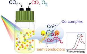 Graphical abstract: Direct observation of an ionic cobalt complex electron mediator via operando X-ray absorption spectroscopy in photocatalytic Z-scheme CO2 reduction with (CuGa)0.3Zn1.4S2 and BiVO4