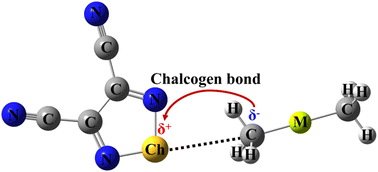Graphical abstract: Methyl groups as unconventional Lewis bases in chalcogen bonding