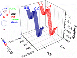 Graphical abstract: Revisiting the radical trapping activity of N–H and O–H in N-phenylhydroxylamine: a DFT study