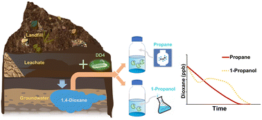Graphical abstract: Comparison of 1-propanol and propane as auxiliary substrates on 1,4-dioxane biodegradation via bioaugmentation with Azoarcus sp. DD4 at a landfill site