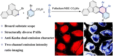 Graphical abstract: Palladium/norbornene-catalyzed C–H bond activation and annulation to construct polycyclic aromatic hydrocarbon-based fluorescent materials