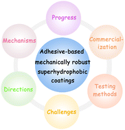 Graphical abstract: Roles of adhesives in forming mechanically robust superhydrophobic coatings