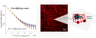 Graphical abstract: Probing molecular motion and microstructure into emulsion gels by PFG NMR and advanced microscopy for microstructural observations