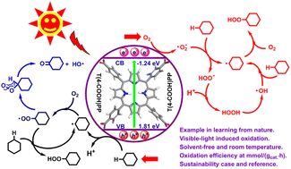 Graphical abstract: Visible-light-induced photocatalytic oxidation of C–H bonds with O2 employing simple porphyrins as photocatalysts under solvent-free conditions