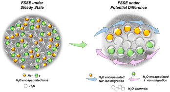 Graphical abstract: Hybrid polysaccharide–NaI derived transparent and flexible solid-state electrolyte films for sustainable design of supercapacitors