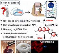 Graphical abstract: A near-infrared fluorescent probe for SO32−/HSO3− and amine detection: an integrated sensing tag/film with a self-developed mobile app for visual fish freshness assessment