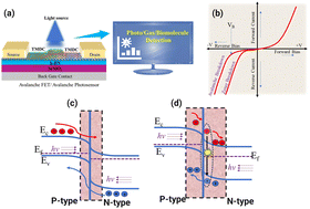 Graphical abstract: Emerging avalanche field-effect transistors based on two-dimensional semiconductor materials and their sensory applications
