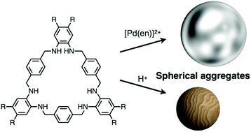 Graphical abstract: Palladium- or proton-induced submicro spherical aggregation of macrocyclic amphiphiles in aqueous solution