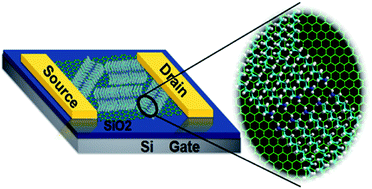 Graphical abstract: Toward tunable doping in graphene FETs by molecular self-assembled monolayers