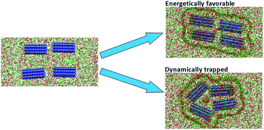 Graphical abstract: An unusual pathway for the membrane wrapping of rodlike nanoparticles and the orientation- and membrane wrapping-dependent nanoparticle interaction