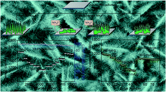 Graphical abstract: High-performance supercapacitor and lithium-ion battery based on 3D hierarchical NH4F-induced nickel cobaltate nanosheet–nanowire cluster arrays as self-supported electrodes