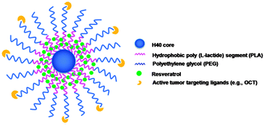 Graphical abstract: Octreotide-functionalized and resveratrol-loaded unimolecular micelles for targeted neuroendocrine cancer therapy
