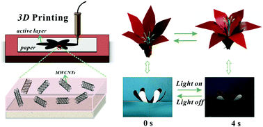 Graphical abstract: 3D printing of shape changing composites for constructing flexible paper-based photothermal bilayer actuators