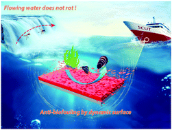Graphical abstract: Dynamic surface antifouling: mechanism and systems
