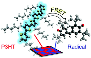 Graphical abstract: Tuning the interfacial and energetic interactions between a photoexcited conjugated polymer and open-shell small molecules