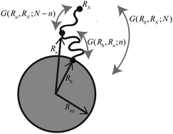 Graphical abstract: Polymers on nanoparticles: structure & dynamics