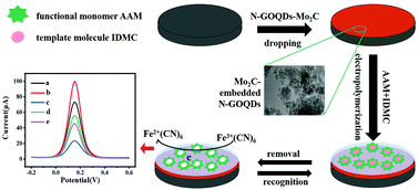 Graphical abstract: A novel molecularly imprinted electrochemical sensor based on a nitrogen-doped graphene oxide quantum dot and molybdenum carbide nanocomposite for indometacin determination