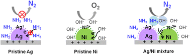 Graphical abstract: From inert to active: a cocktail-like mediation of an Ag/Ni mixture for electrocatalytic ammonia oxidation reaction