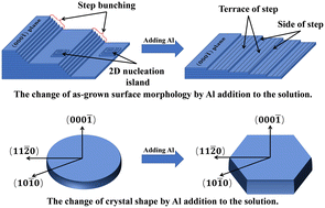 Graphical abstract: Influence of interfacial energy on the growth of SiC single crystals from high temperature solutions