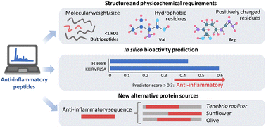 Graphical abstract: Peptides and protein hydrolysates exhibiting anti-inflammatory activity: sources, structural features and modulation mechanisms
