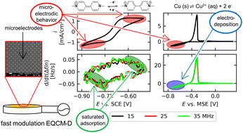 Graphical abstract: An electrochemical quartz crystal microbalance (EQCM) based on microelectrode arrays allows to distinguish between adsorption and electrodeposition