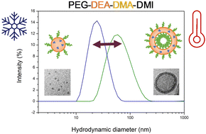 Graphical abstract: Responsive tertiary amine methacrylate block copolymers: uncovering temperature-induced shape-shifting behaviour