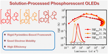 Graphical abstract: Orange to red iridium(iii) complexes possessing good electron mobility with a pyrimidine-4-carboxylic acid ligand for high-performance solution-processed OLEDs with an EQE over 31%