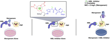 Graphical abstract: Synthesis and biological evaluation of novel β-lactam-metallo β-lactamase inhibitors