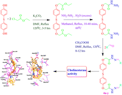 Graphical abstract: New supramolecules of bis(acylhydrazones)-linked bisphenol sulfide for Alzheimer's: targeting cholinesterases by in vitro and in silico approaches