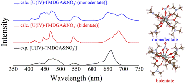 Graphical abstract: A computational study on the coordination modes and electron absorption spectra of the complexes U(iv) with N,N,N′,N′-tetramethyl-diglycolamide and anions