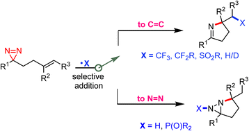 Graphical abstract: Access to pyrrolines and fused diaziridines by selective radical addition to homoallylic diazirines