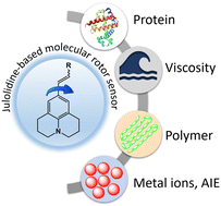 Graphical abstract: Julolidine-based fluorescent molecular rotor: a versatile tool for sensing and diagnosis